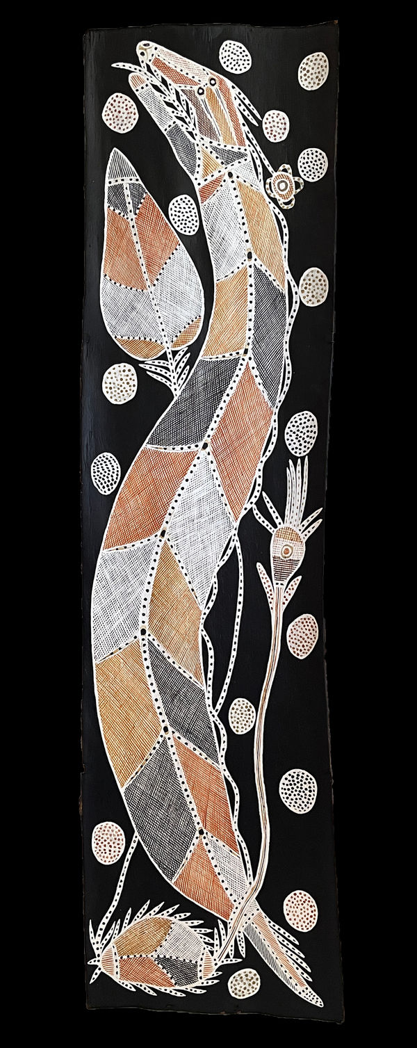 Ivan Namirrkki, Ngayold (Rainbow Serpent), 2022