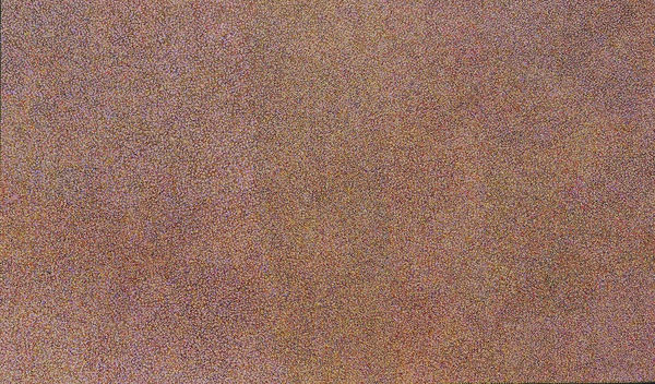 Caroline Petrick Ngwarreye, My Beautiful Country , 2025