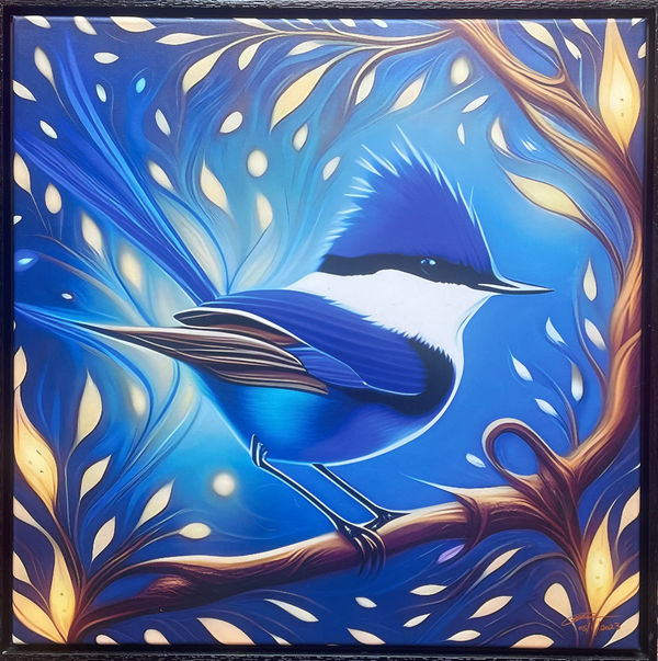 Mark Brown, Superb Fairy Wren, 2024