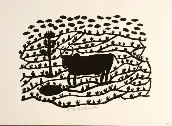 Stewart Hoosan, Bucking bull, 2019