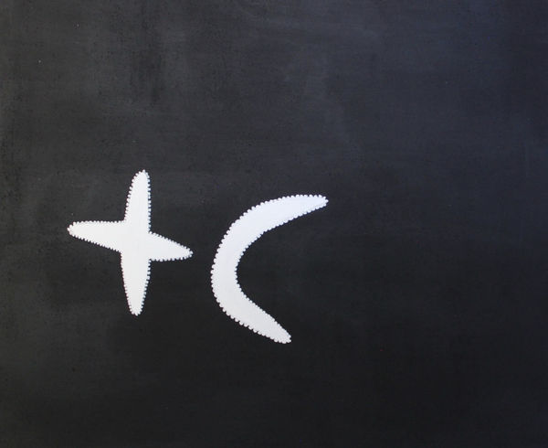 Mabel Juli Wiringgoon Wardal doo Garn'giny, 2021 Ochre and charcoal on canvas 100 x 120 cm 39 3/8 x 47 1/4 in