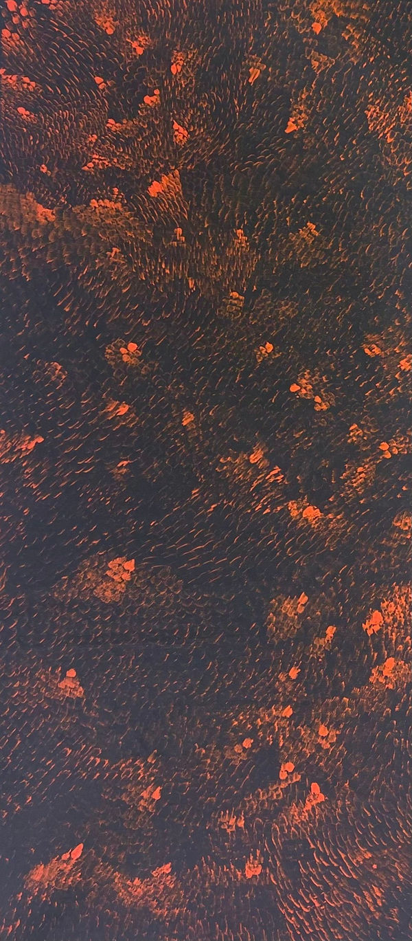 Amanda Jane Gabori, Dibirdibi Scales, 2010