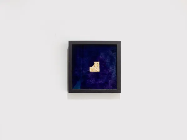 A Bit of Both Worlds