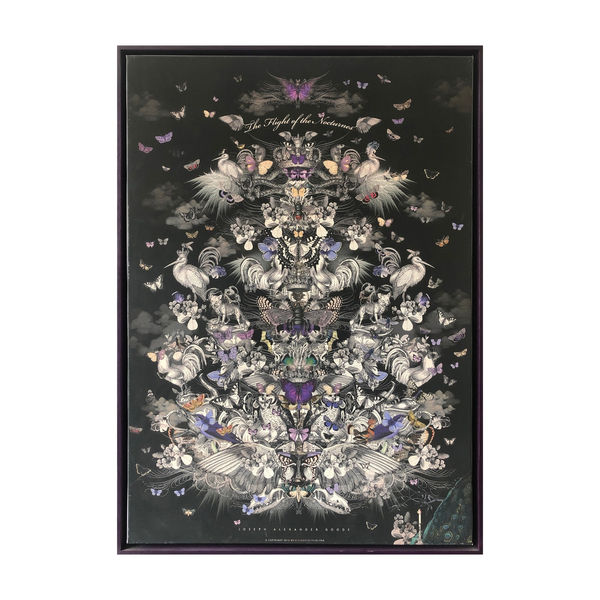 Joseph Alexander Goode, Amelias Magnificent Dream Butterflies