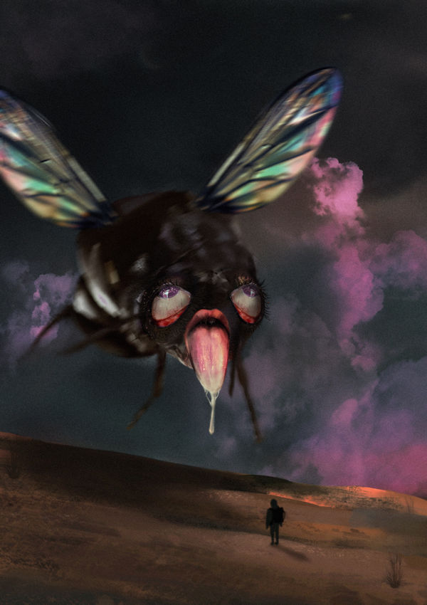 Shannon Lane, When the stars align, so will you and I, 2022