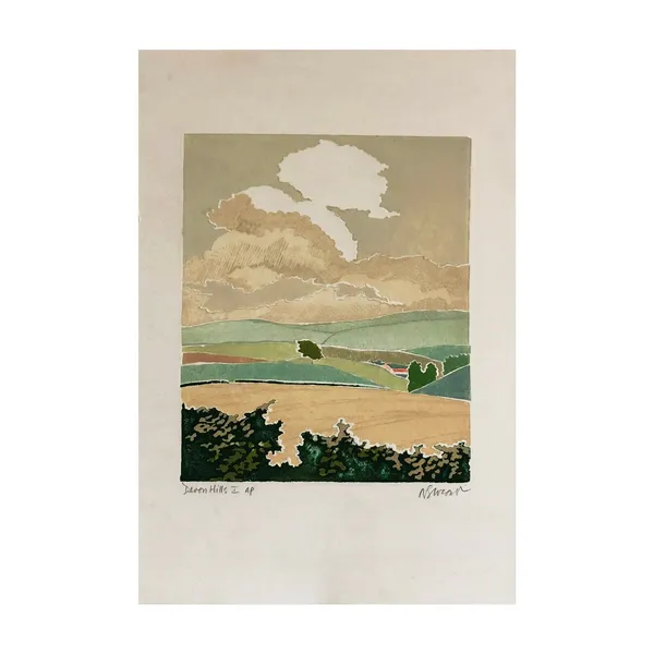 Barbara Newcomb, Devon Hills I