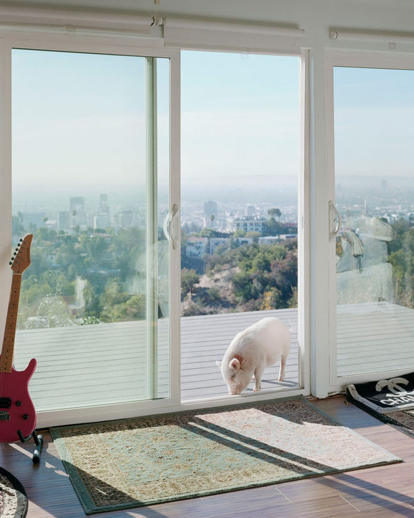 Alec Soth, Banksy. Hollywood Hills, CA. 2017., 2021