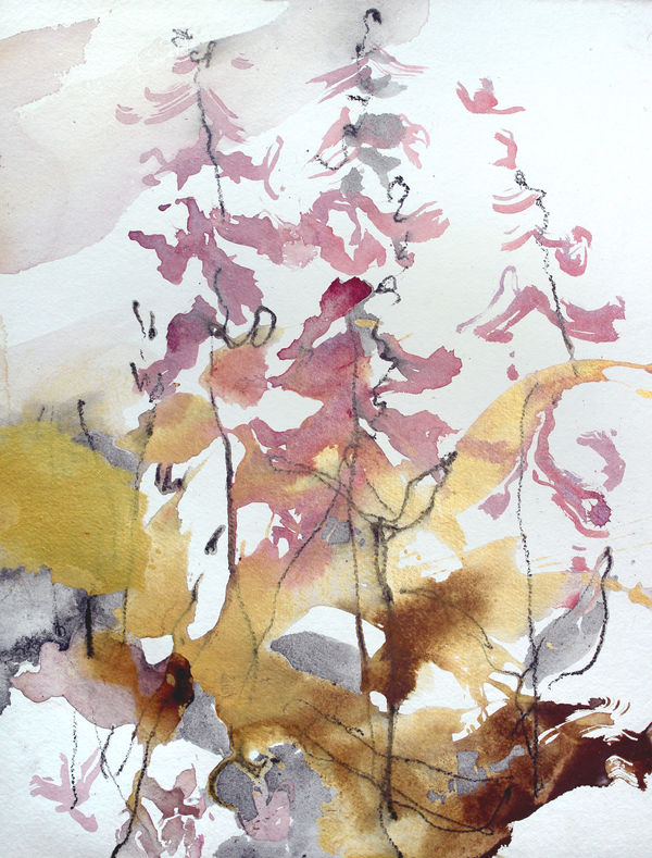 Chloe Holt, Digitalis In Lumine, 2025