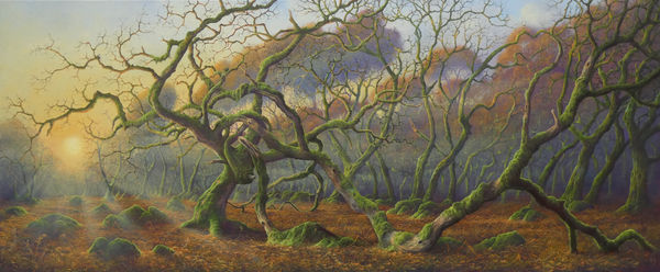 Gerald Dewsbury, In Coed Ty Canol, 2025