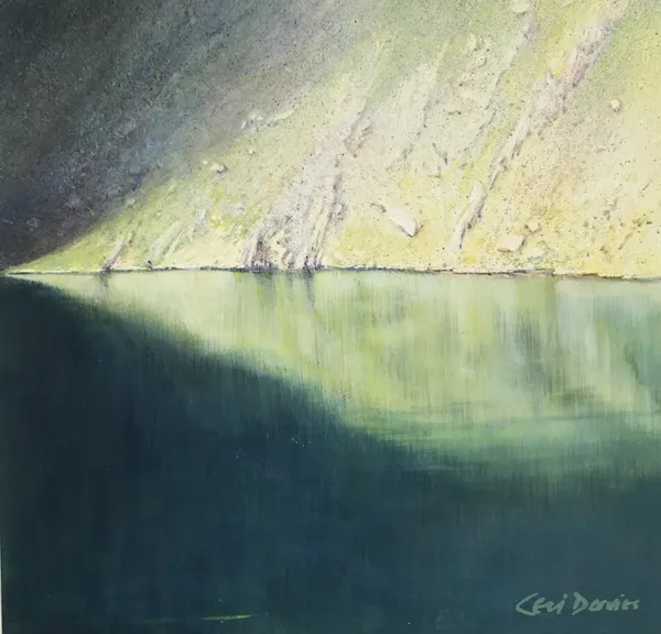 Ceri Auckland Davies, Arrowhead