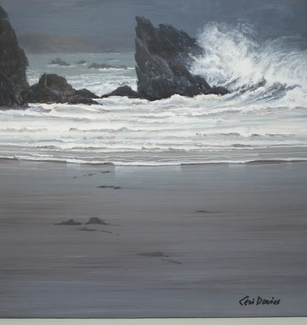 Ceri Auckland Davies, Consumed