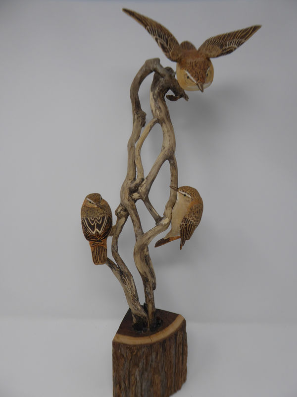 John & Marilyn Davies, Sedge Warblers III