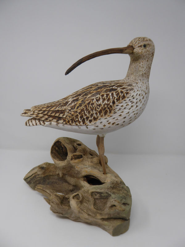 John & Marilyn Davies, Curlew