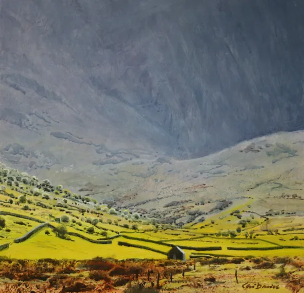 Ceri Auckland Davies, After the Rain (Nant Ffrancon)