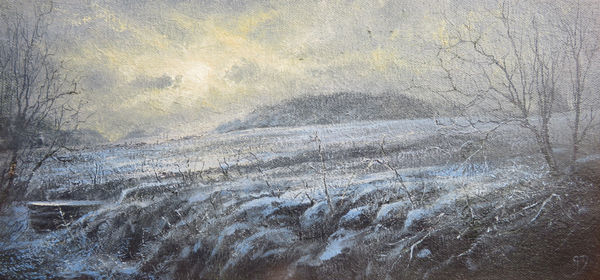 Gerald Dewsbury, Wintered Meadow