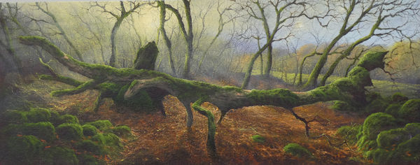 Gerald Dewsbury, Caught Out in the Light, 2025