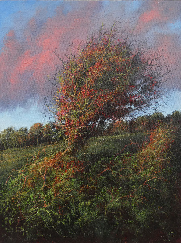 Gerald Dewsbury, Evening Hawthorn