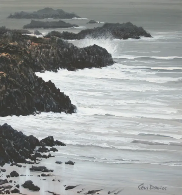 Ceri Auckland Davies, Sea Greys (Ynys Llanddwyn)