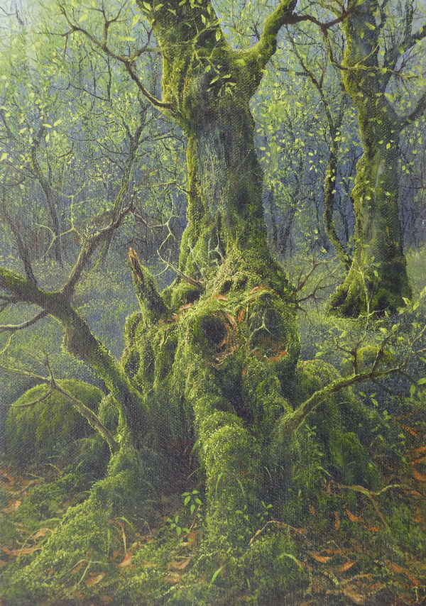 Gerald Dewsbury, Walk in the Woods IV, 2025