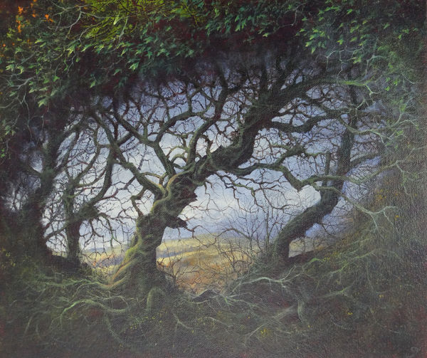 Gerald Dewsbury, On the Path to Aberbach, 2025