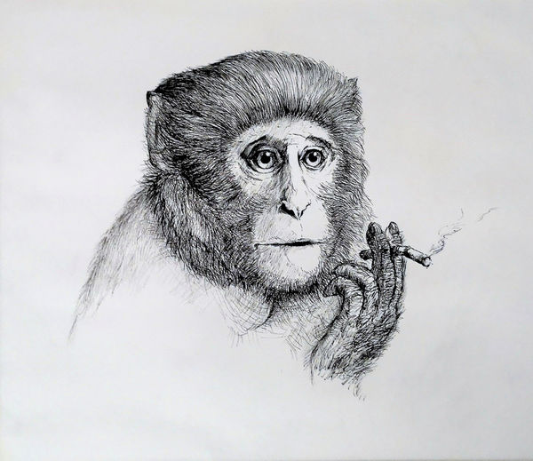 Xuesen Liu, After Alan Watts, 2017