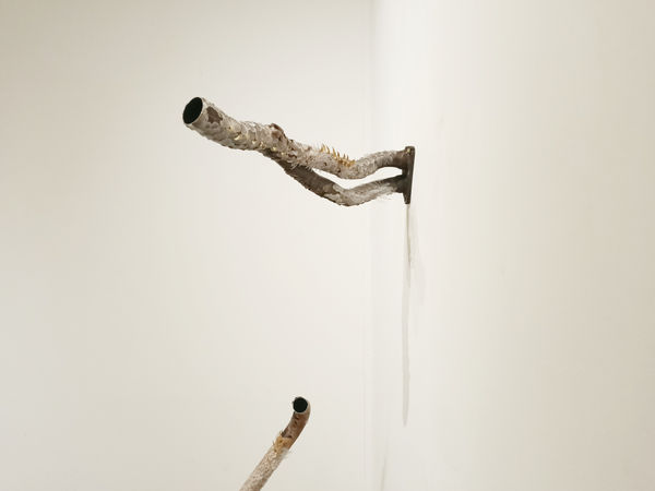 Maria Positano, Untitled II from Venus Series