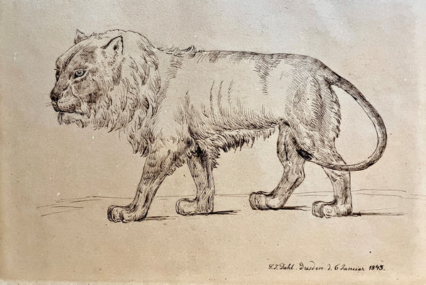 Johan Christian Klausson Dahl, STUDY OF A PROWLING LION, 1845