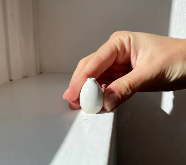 Tilly Slight, Arctic white VI, 2020