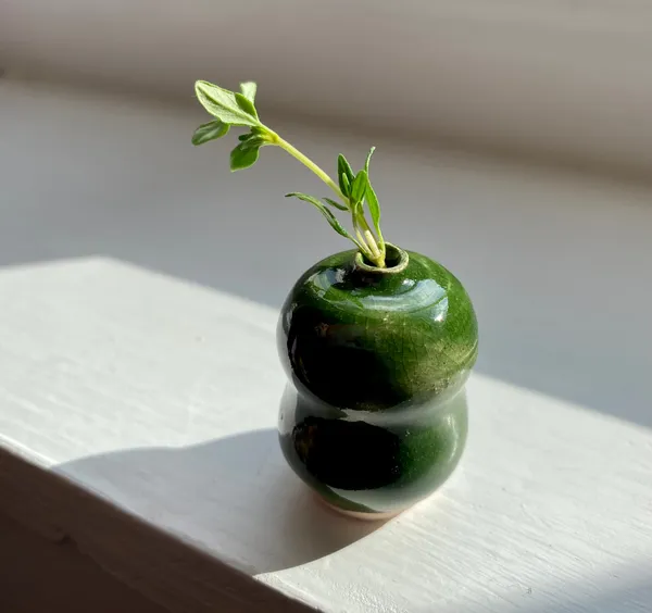 Tiered moss green, 2021 glazed stoneware ceramic signed on the base