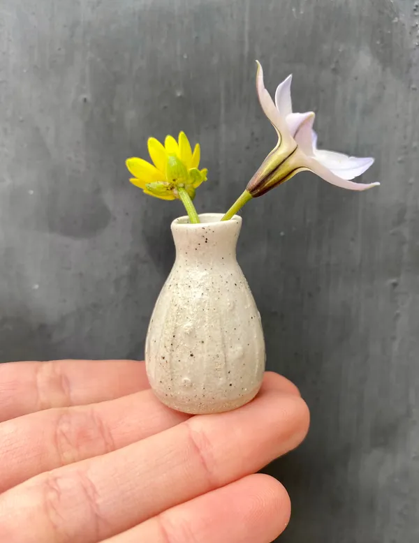 Tilly Slight, Dot dot dash (white) , 2021