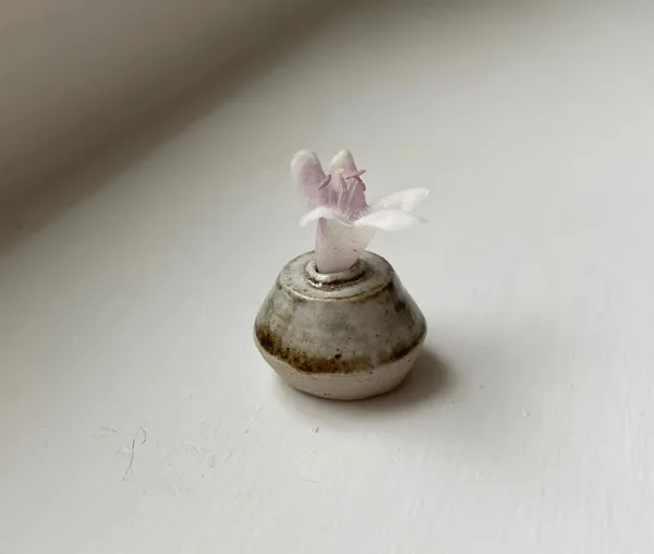 Tilly Slight, White on oatmeal, 2020