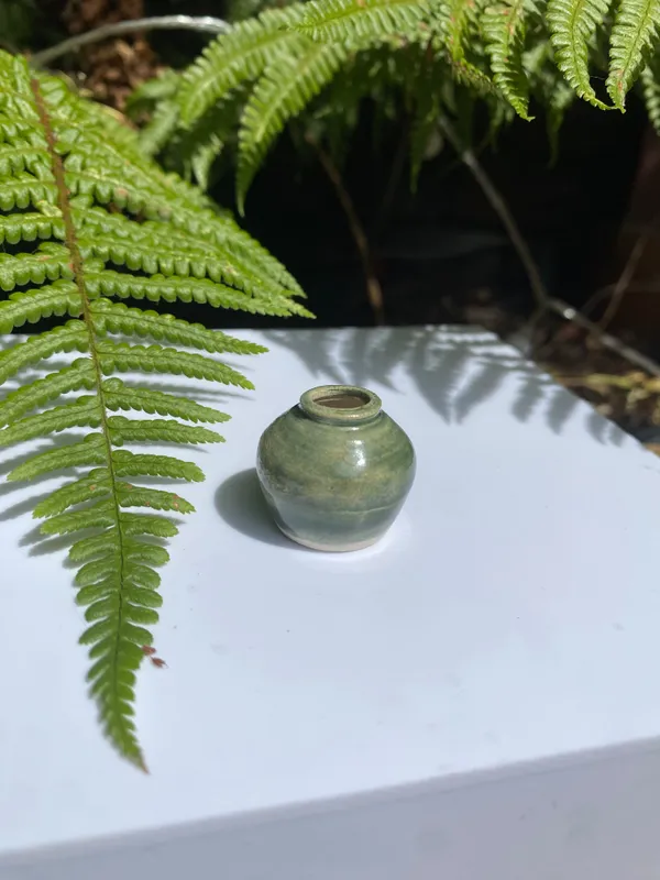 Tilly Slight, Washed natural green, 2025