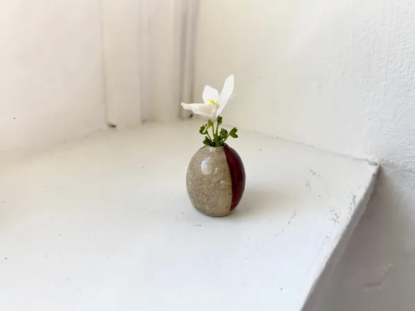 Tilly Slight, Autumn tritone I, 2020