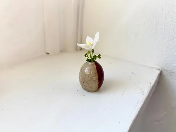 Tilly Slight, Autumn tritone I, 2020