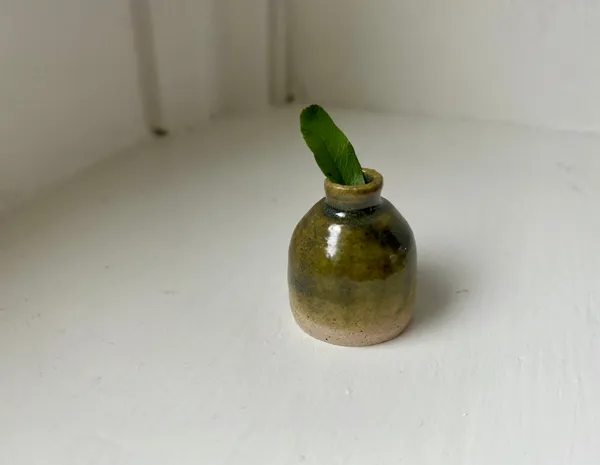 Tilly Slight, Canada green V, 2020