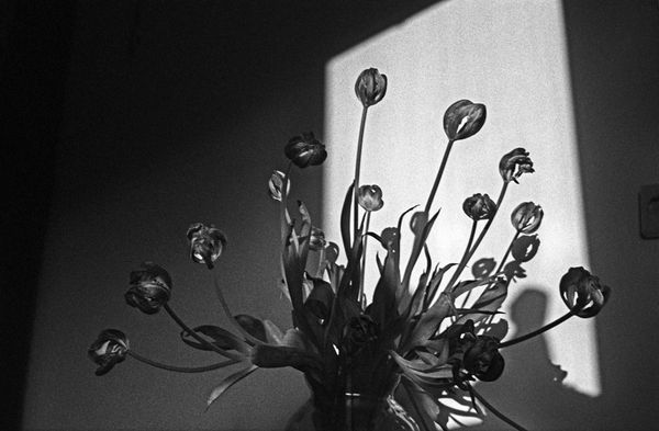 Yusuf Sevinçli, POST I (#003), 2010