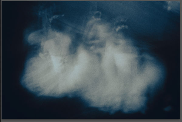 Diana Markosian, Giselle, Ballerinas series, 2024