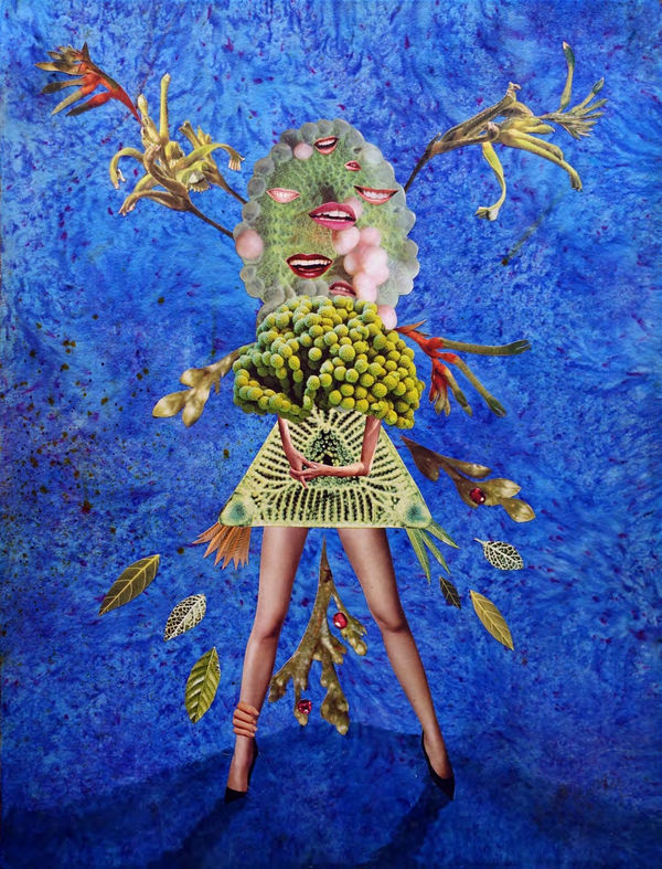 Deborah Kelly, Call of Coral, 2019