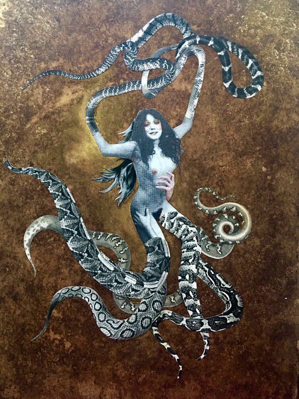 Deborah Kelly, Mysteries of the Organism: Fear of Failure, 2019