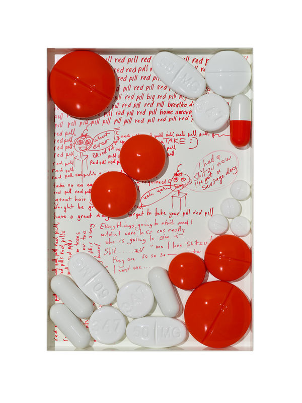 Coady, Pill Parody Construction 6, 2024