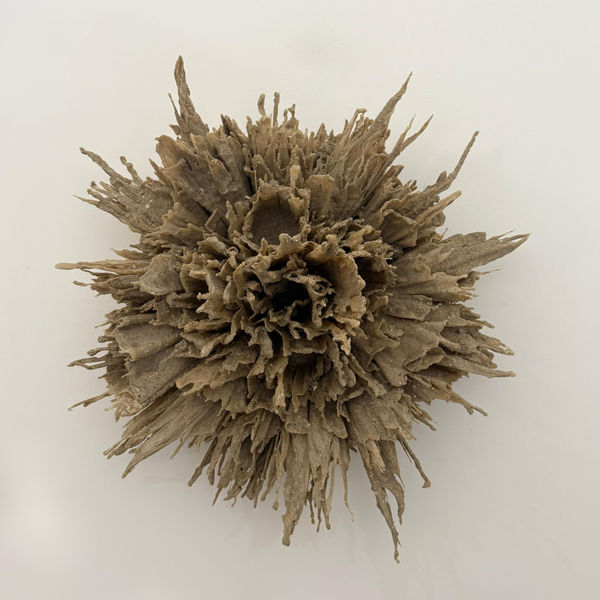 Yousra Wahba, Firing Memory , 2025