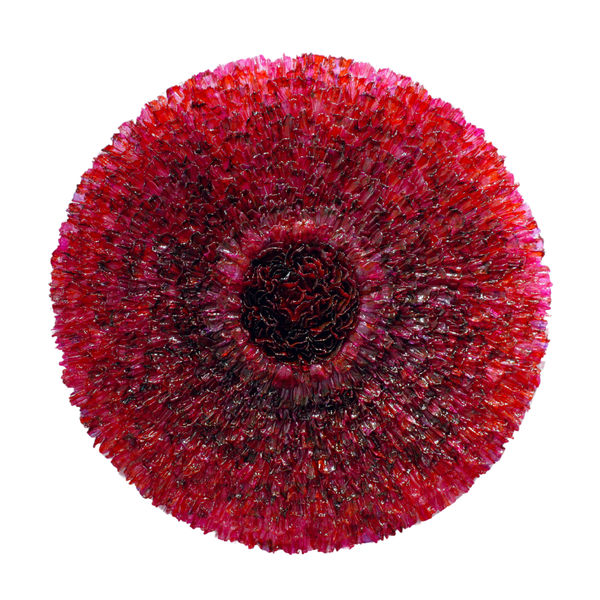 Yousra Wahba, Red Reef, 2023