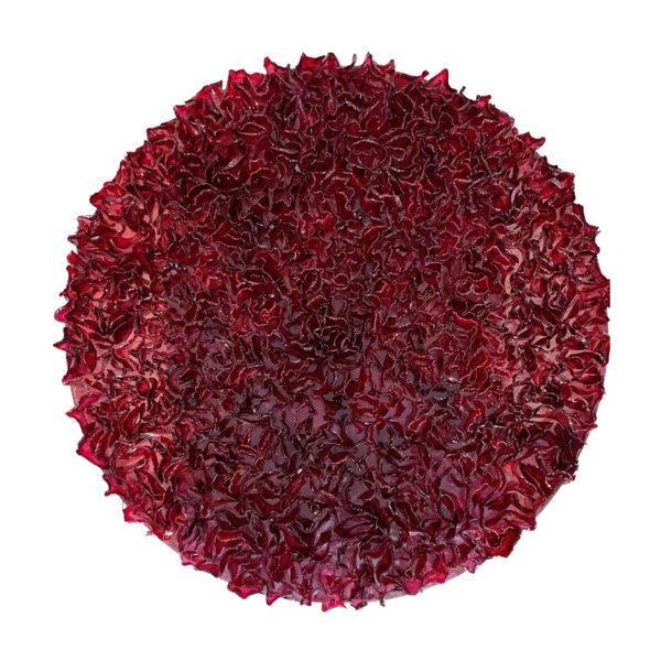 Yousra Wahba, Wild Beauty Unveiled, 2023