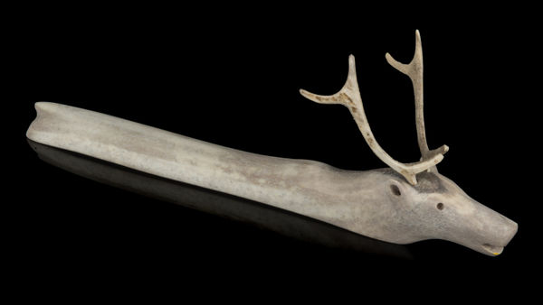 Lot 43 JACOB IRKOK (1937-2009) ARVIAT (ESKIMO POINT) Swimming Caribou, 2000s antler, 12.25 x 4.25 x 1.25 in (31.1 x 10.8 x 3.2 cm) ESTIMATE: $500 — $800 PRICE REALIZED: $671.00
