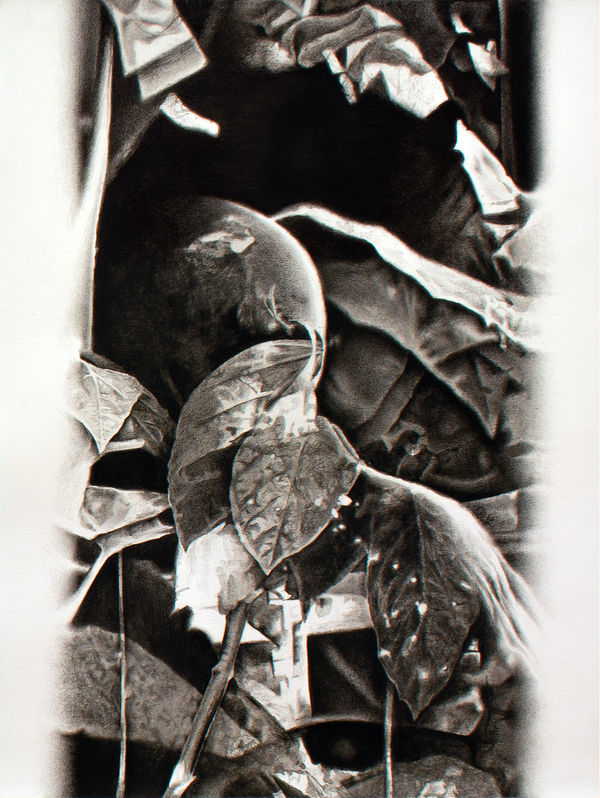 Tobias Nussbaumer, Echo Drift II, 2025