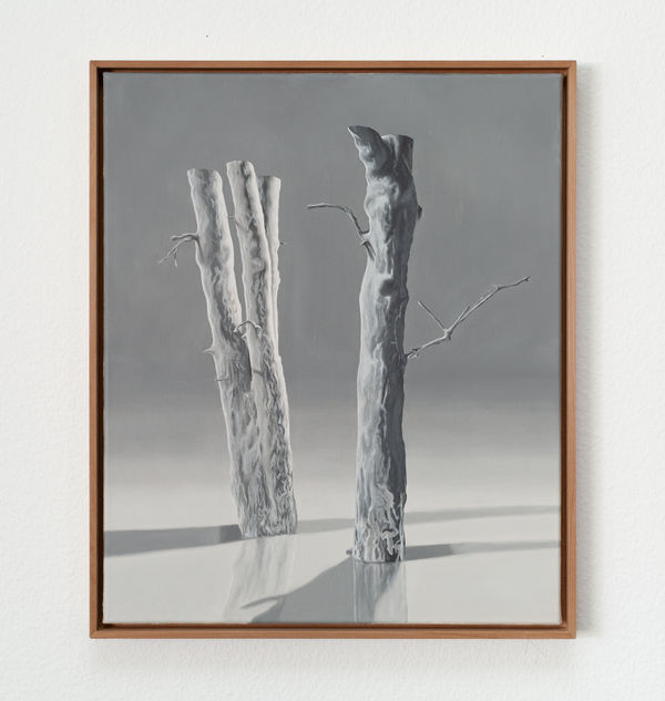 Mattania Bösiger, Objekt_XV, 2024