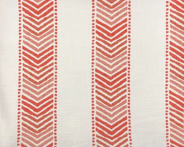 Signal Stripe Corals