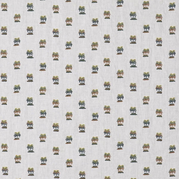 Les Palmiers De Comoglio Palmeraie