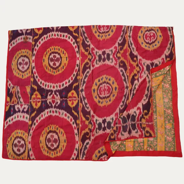 19th Century Ikat Panel