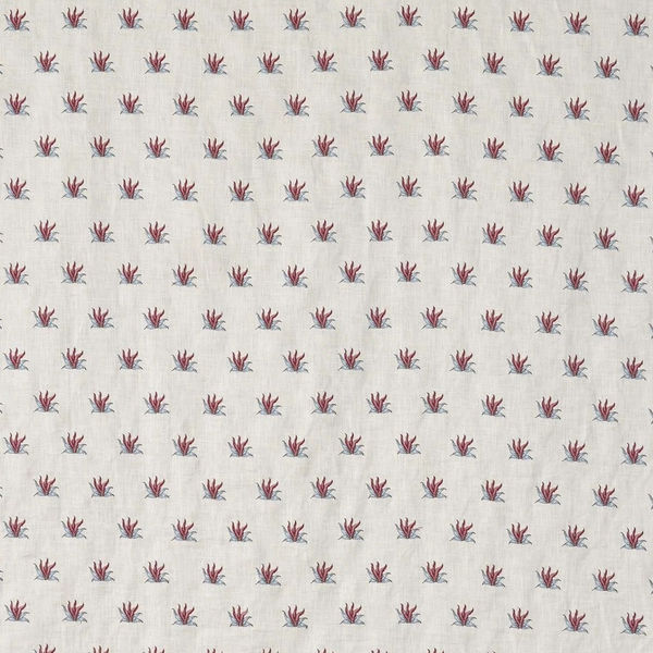 Coulonges Contrefond Hortensia